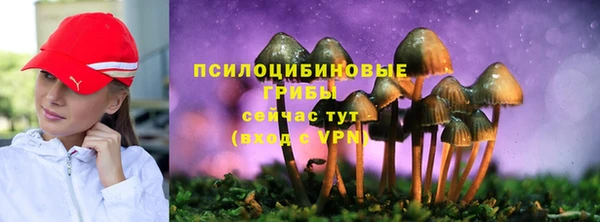 apvp Белоозёрский