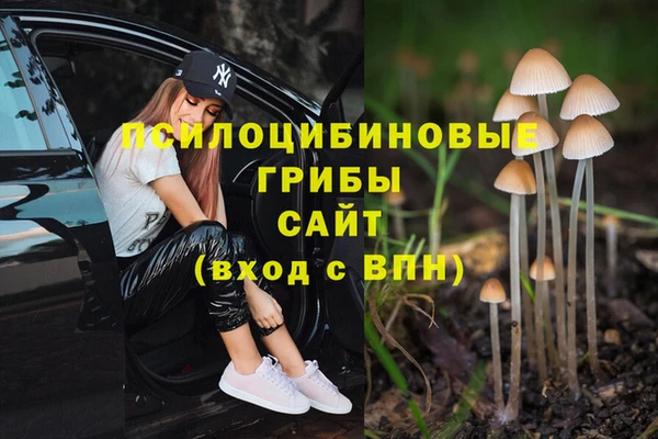 гашишное масло Белокуриха