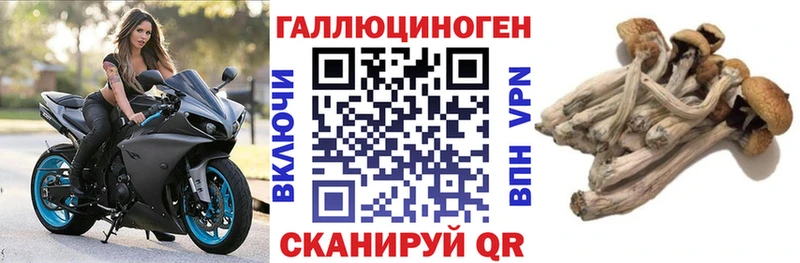 Галлюциногенные грибы GOLDEN TEACHER  Горняк 