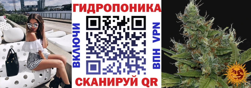 Канабис семена Горняк